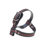 Protekt Strap for Pole Climbers