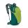 Osprey Backpack Daylite 13L Hostas Green