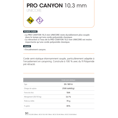 Beal Pro Canyon Unicore Semi Static Rope 10.3mm Per Meter