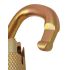 I/S/C Offset Oval Keylock Karabiner-TL- Twistlock
